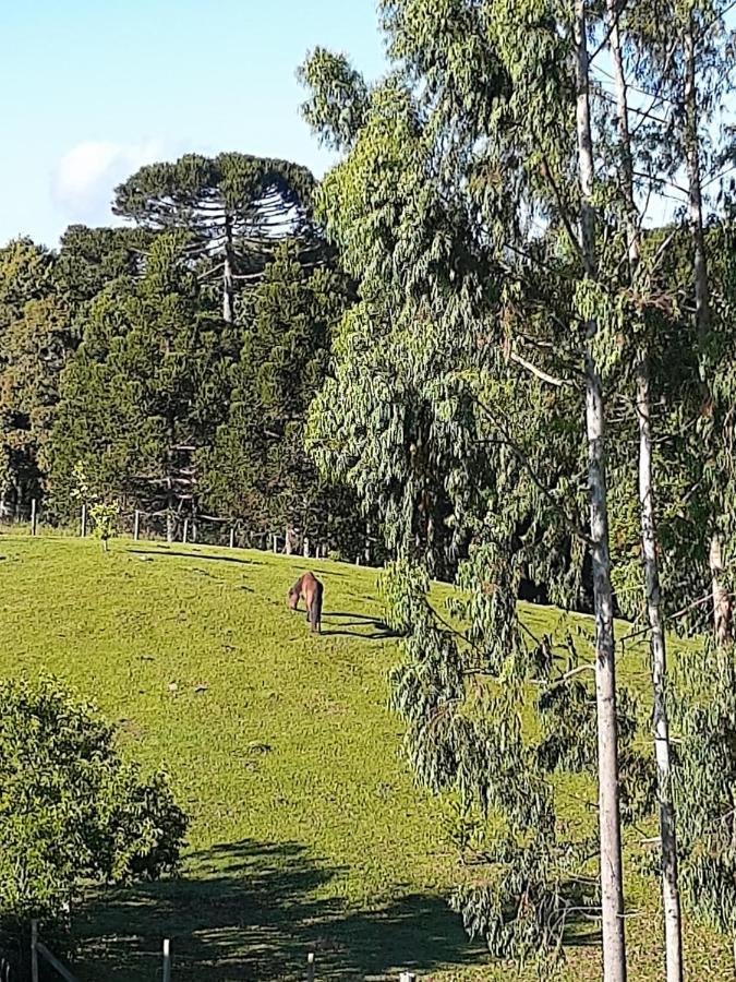 Chácara Quedinha D'água * Campo Alegre (Santa Catarina)