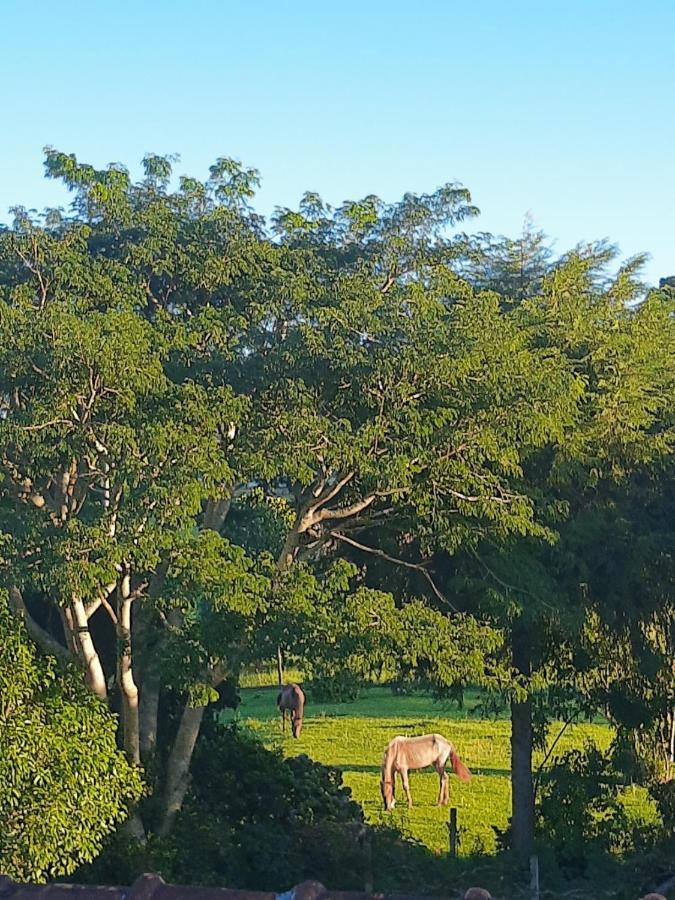 Casa de Campo Chácara Quedinha D'água Campo Alegre (Santa Catarina)